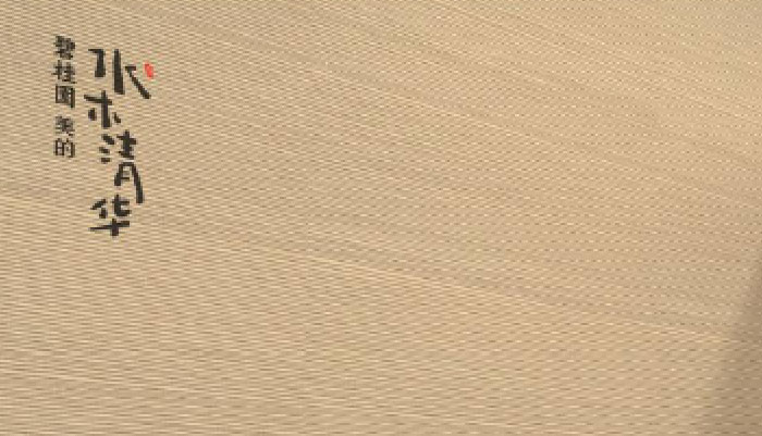 項目實施作品案例展示