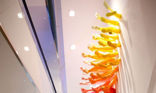 生產(chǎn)制作作品案例展示