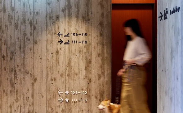 規(guī)劃設(shè)計(jì)作品案例展示