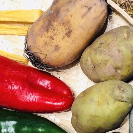 集團(tuán)總部導(dǎo)視系統(tǒng)版面設(shè)計(jì)