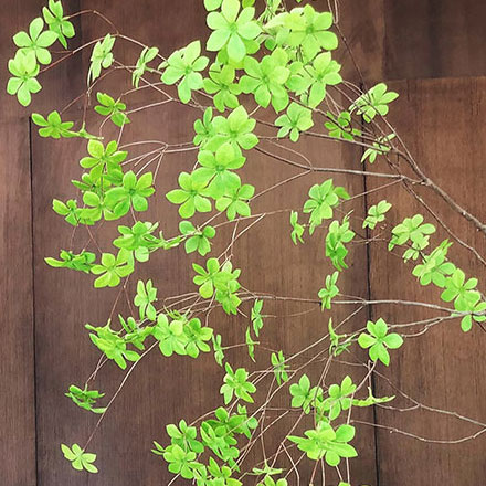 中國能效標(biāo)識怎么看設(shè)計：能源效率的認(rèn)證標(biāo)志