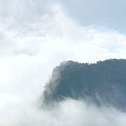 標(biāo)識設(shè)計作品案例展示